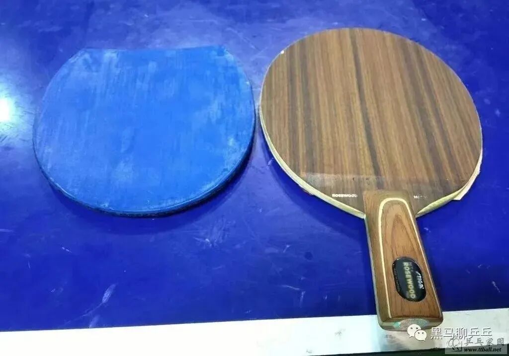 Xu Xin's teardrop-shaped Rosewood 5 custom blade beside Zhu Yuling's oversized Walnut 5