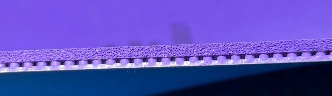 Side comparison of Joola Dynasty Hellfire versus Dynasty AGR sponge thickness